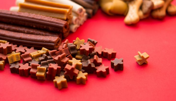 calming dog treats