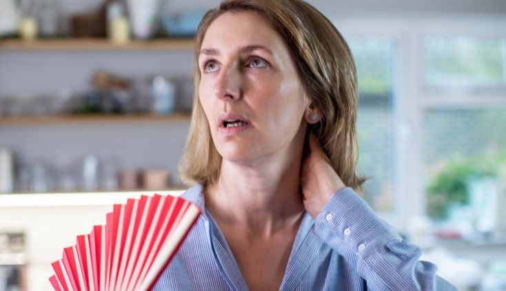 menopause supplements