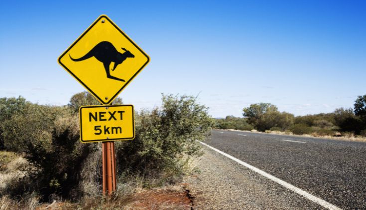 A road sign in Australia for kangaroo crossing.